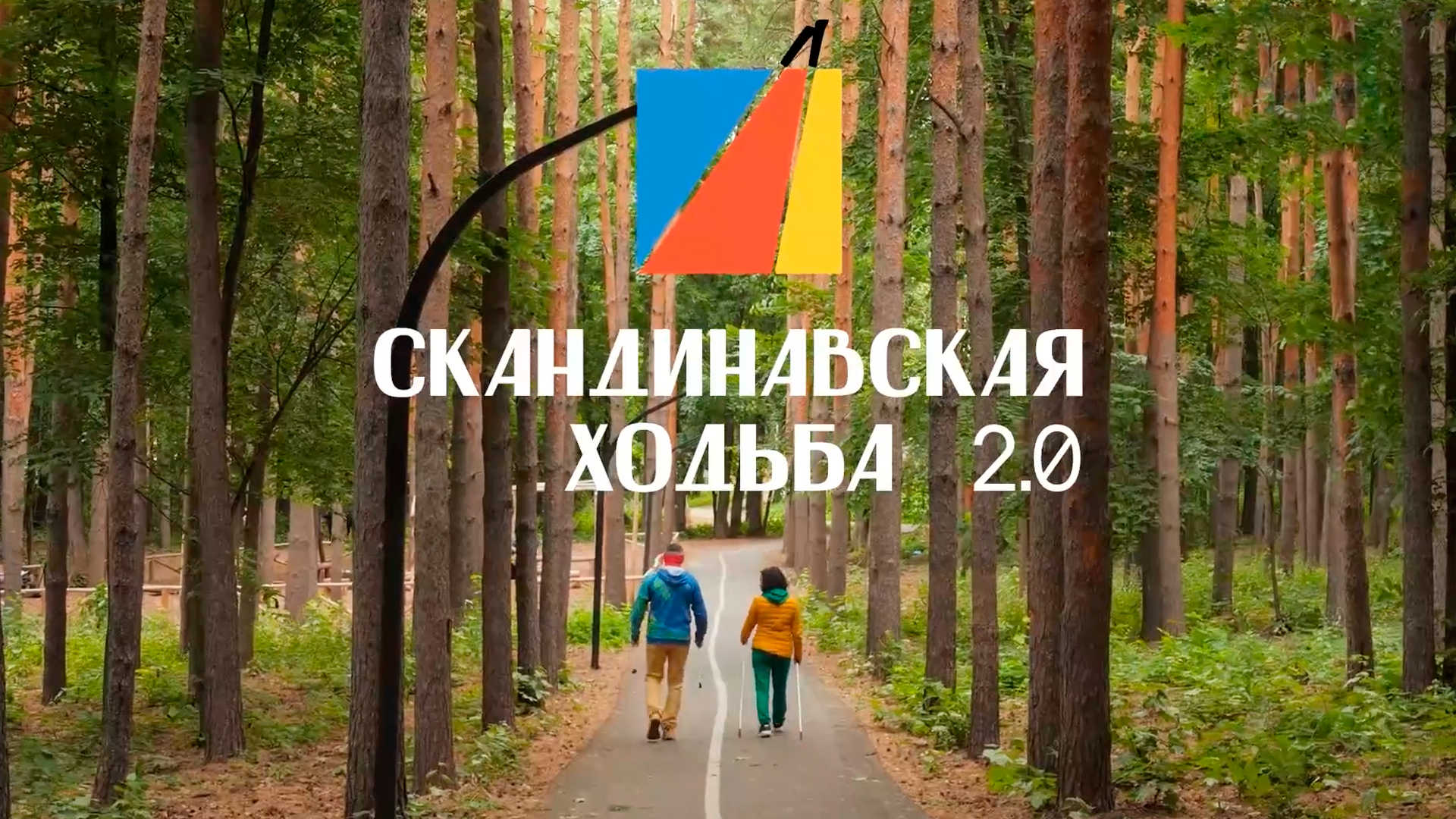 Скандинавская ходьба 2.0