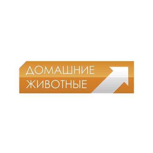 Домашние Животные